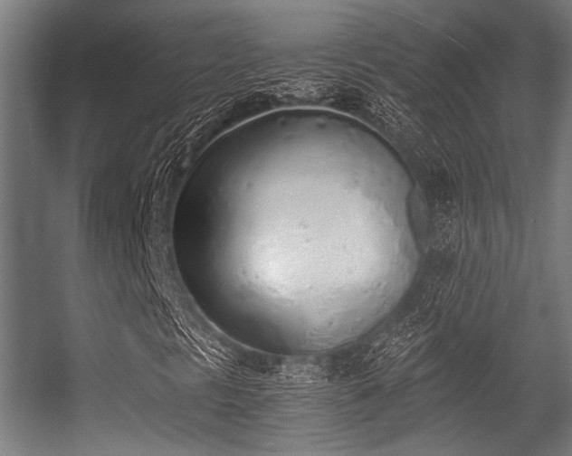 X0000056341297200508291305