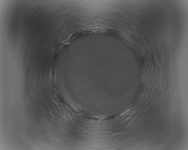 X0000056341298200508291305