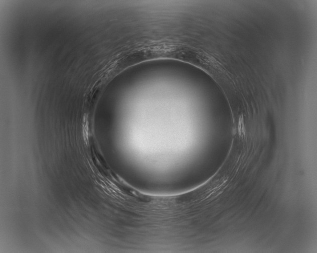 X0000056341299200508291305