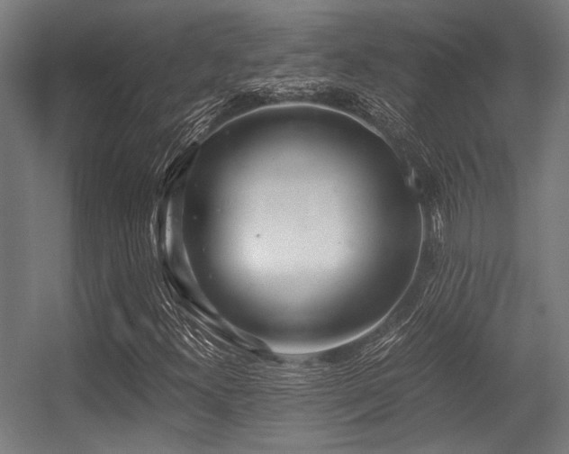 X0000056341300200508291305