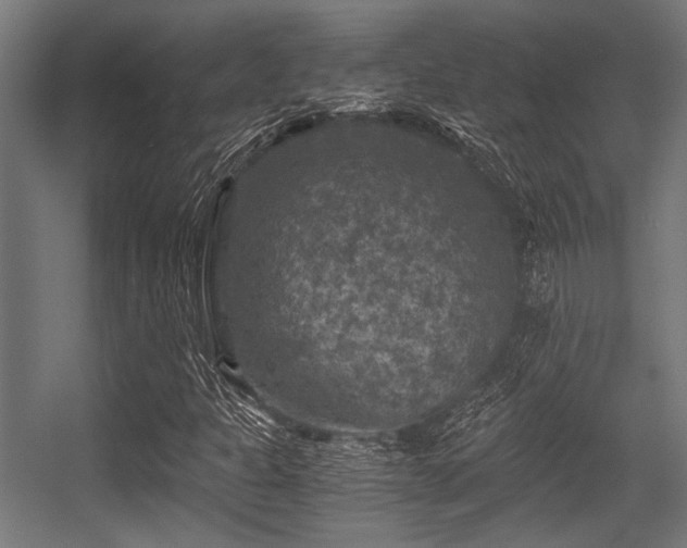 X0000056341301200508291305