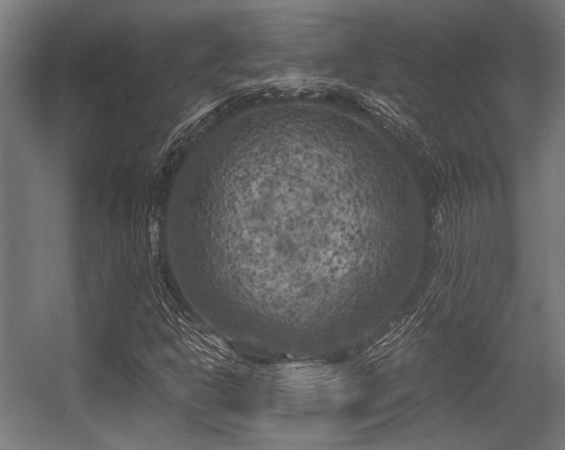 X0000056341302200508291305