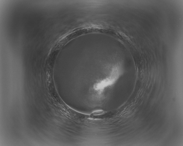 X0000056341303200508291305