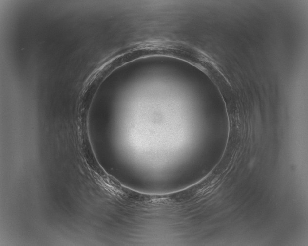 X0000056341304200508291305