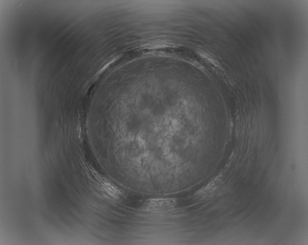 X0000056341305200508291305