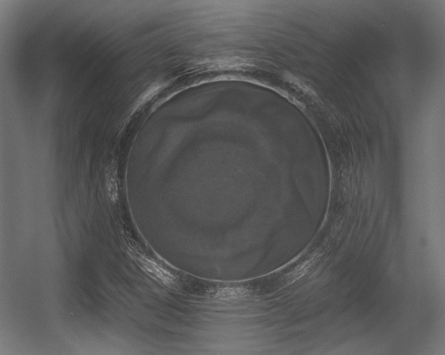 X0000056341306200508291305