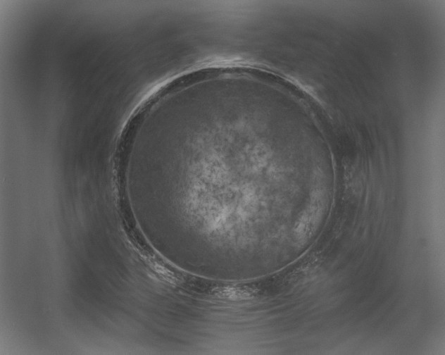 X0000056341311200508291305