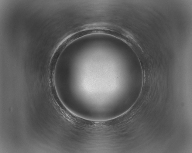 X0000056341312200508291305