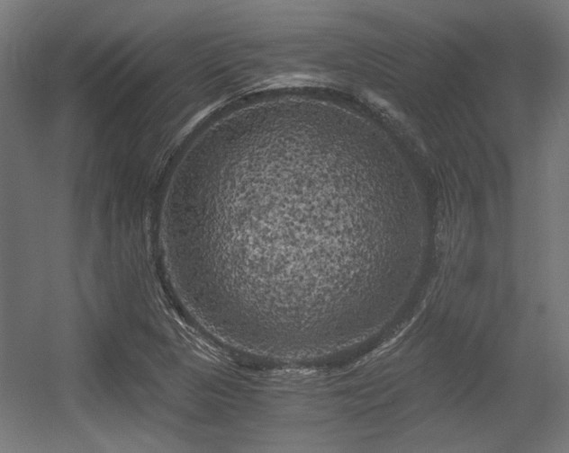 X0000056341313200508291305