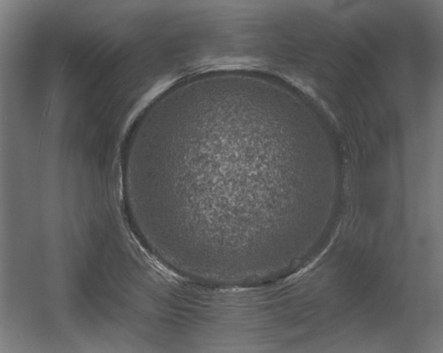 X0000056341317200508291305