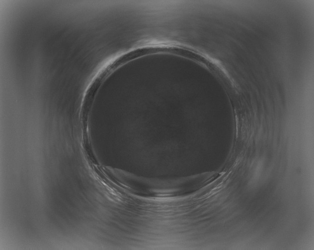 X0000056341319200508291305