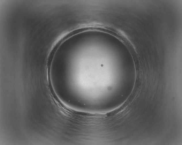 X0000056341320200508291305