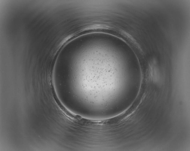 X0000056341321200508291305