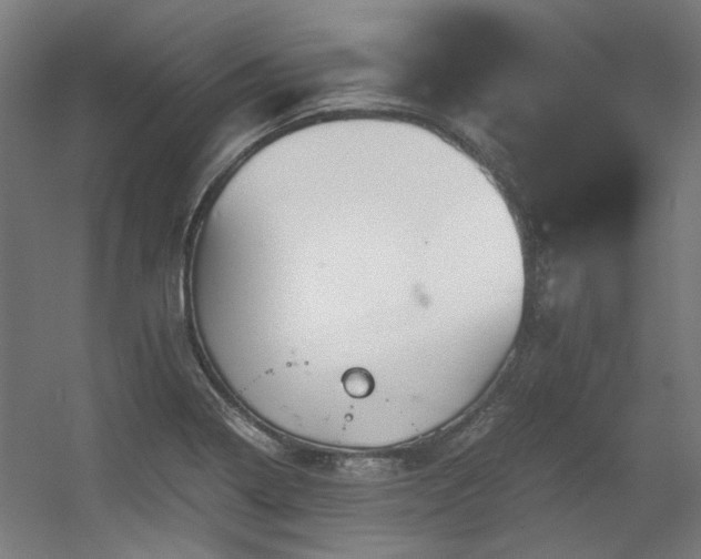 X0000056341322200508291305