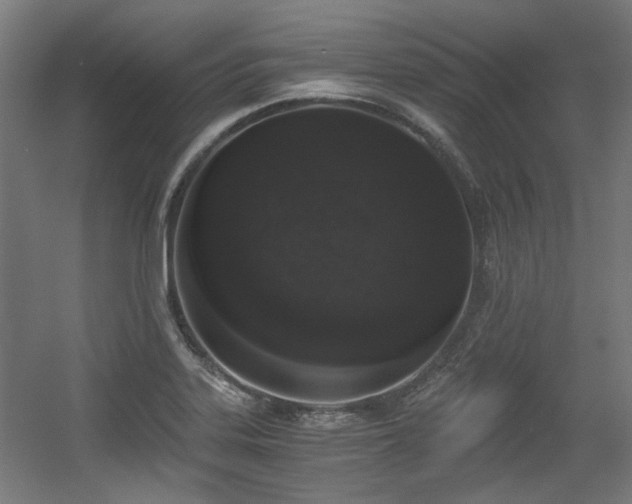 X0000056341323200508291305