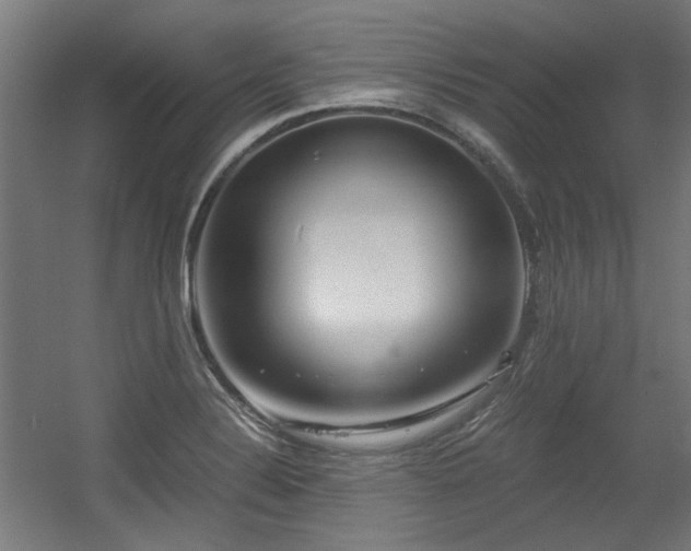 X0000056341324200508291305