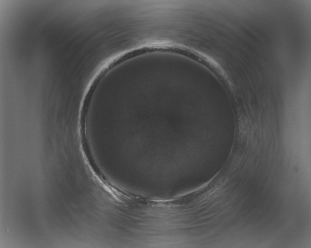 X0000056341327200508291305