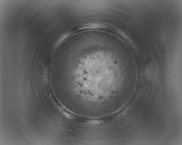 X0000056341329200508291305