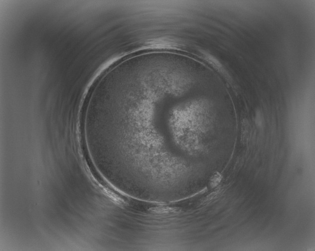 X0000056341331200508291305