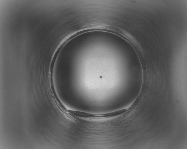 X0000056341332200508291305