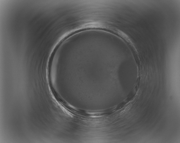 X0000056341334200508291305