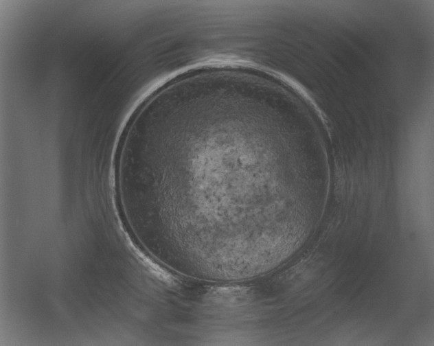 X0000056341335200508291305