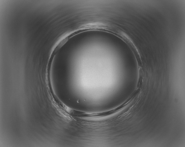 X0000056341336200508291305