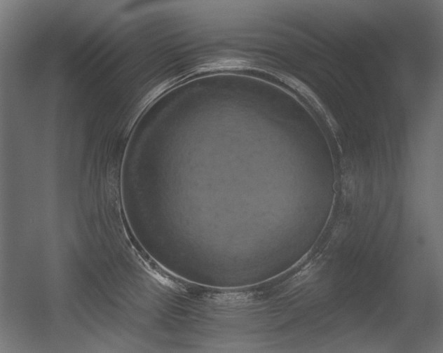 X0000056341337200508291305