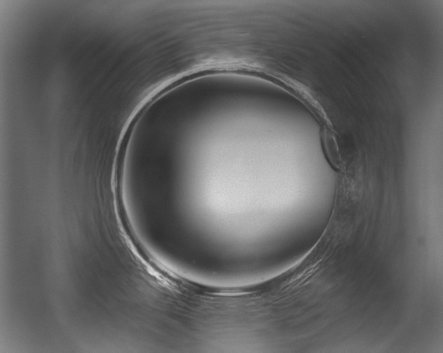 X0000056341343200508291306