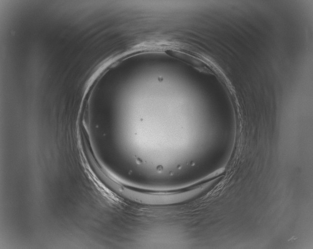 X0000056341344200508291306