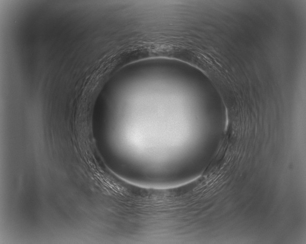 X0000056341345200508291305