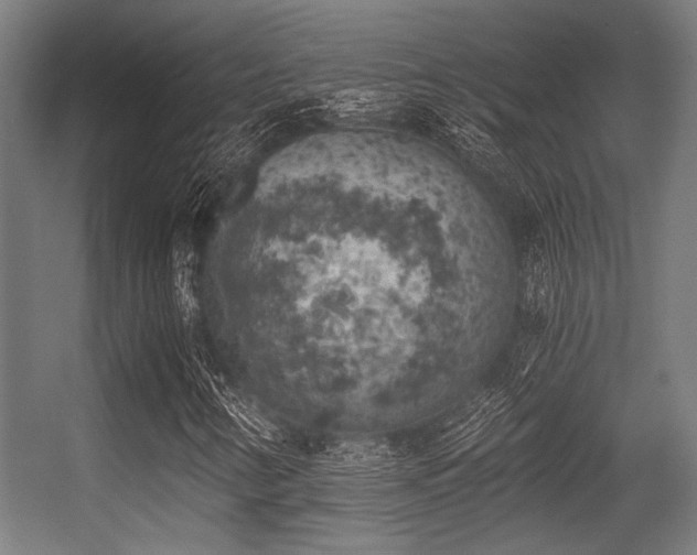 X0000056341346200508291305