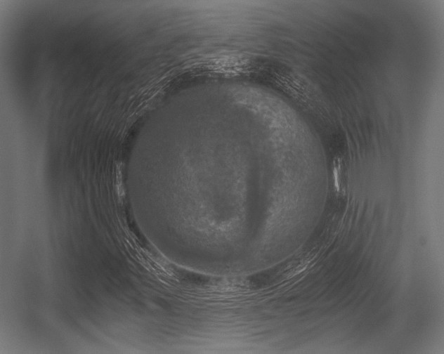 X0000056341347200508291305