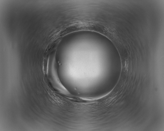 X0000056341348200508291305