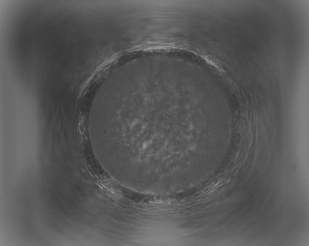 X0000056341351200508291305