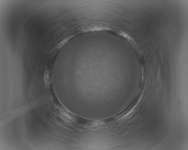 X0000056341353200508291305