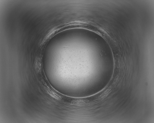 X0000056341355200508291305