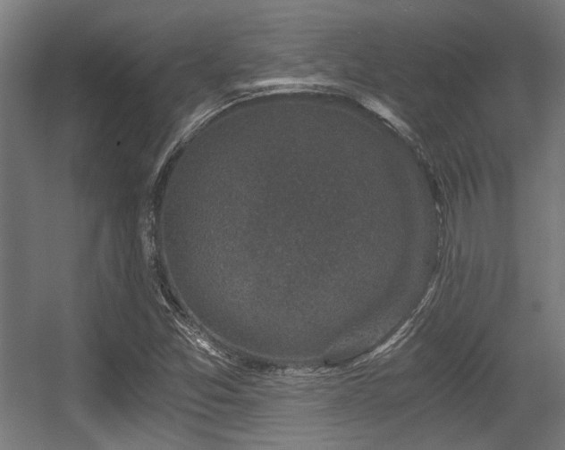 X0000056341357200508291305