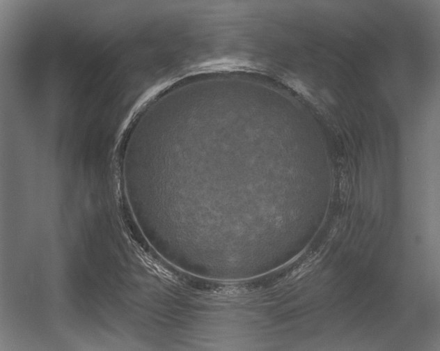 X0000056341358200508291305