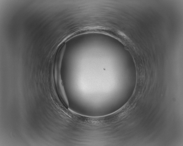 X0000056341361200508291304