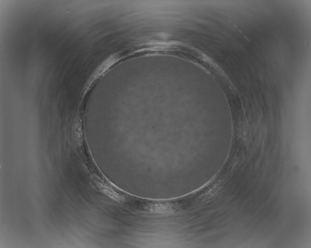 X0000056341362200508291304