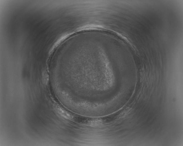 X0000056341363200508291304