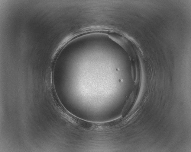 X0000056341365200508291304