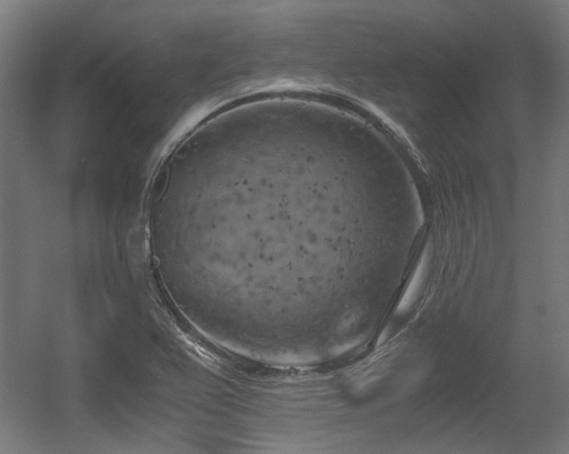 X0000056341367200508291304