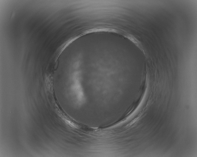 X0000056341369200508291304