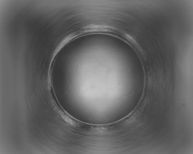 X0000056341370200508291304