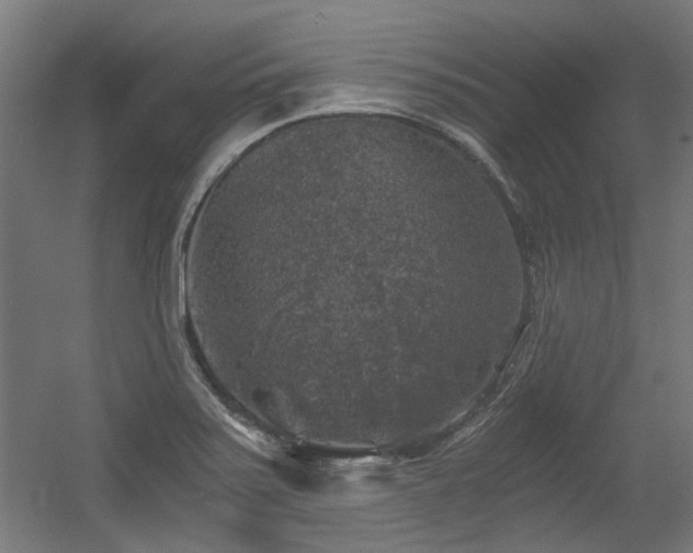 X0000056341371200508291304