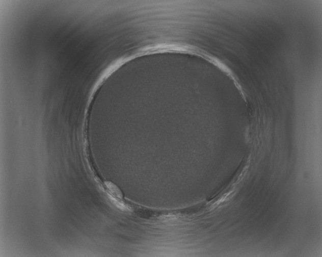 X0000056341373200508291304