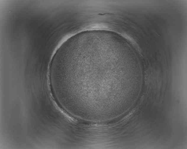 X0000056341374200508291304