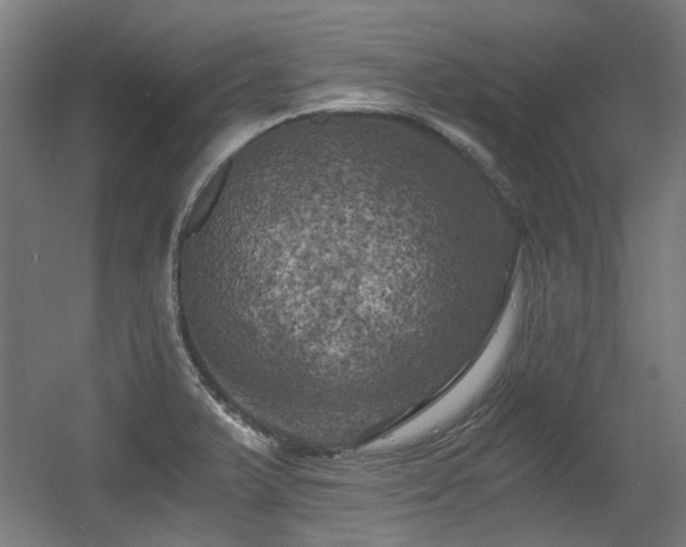 X0000056341375200508291304